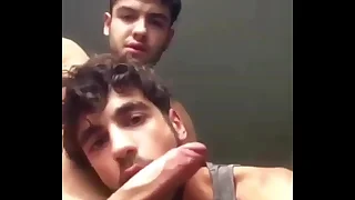 10372 gay blowjob porn videos